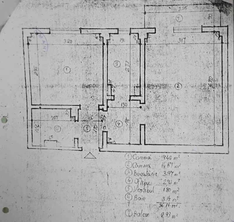Lacul Tei, Maica Domnului, Domino, Parcul Circului adiacent renovat 2024